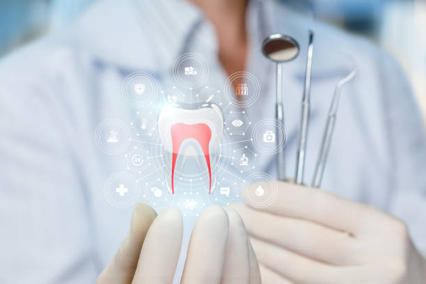 Professional Dental Services in Highland Park, TX